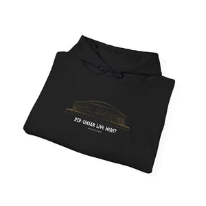 "Did Caesar Live Here?" Superdome Hoodie Printify