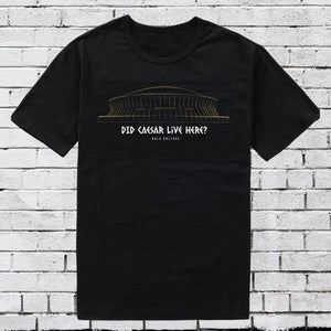 “Did Caesar Live Here?” Superdome T-Shirt Printify