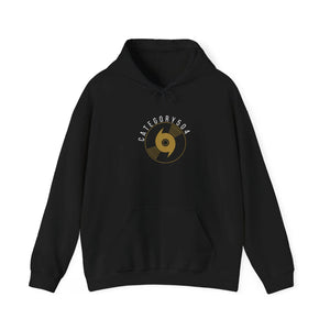 Hurricane Vinyl Record Hoodie Printify